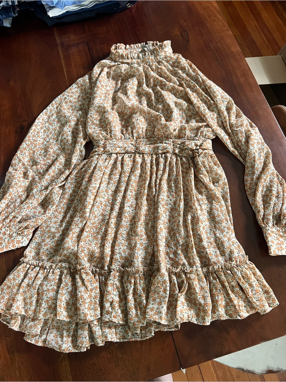 Country Chic Mini Dress | Size Small